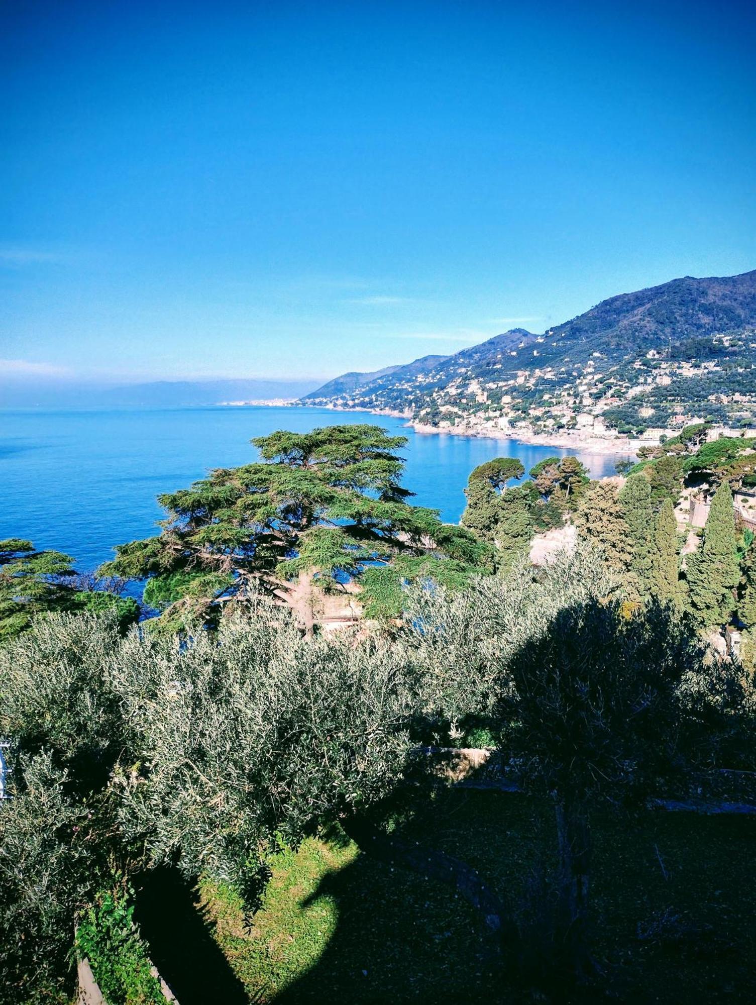La Conchiglia Bed & Breakfast คาโมยลี ภายนอก รูปภาพ